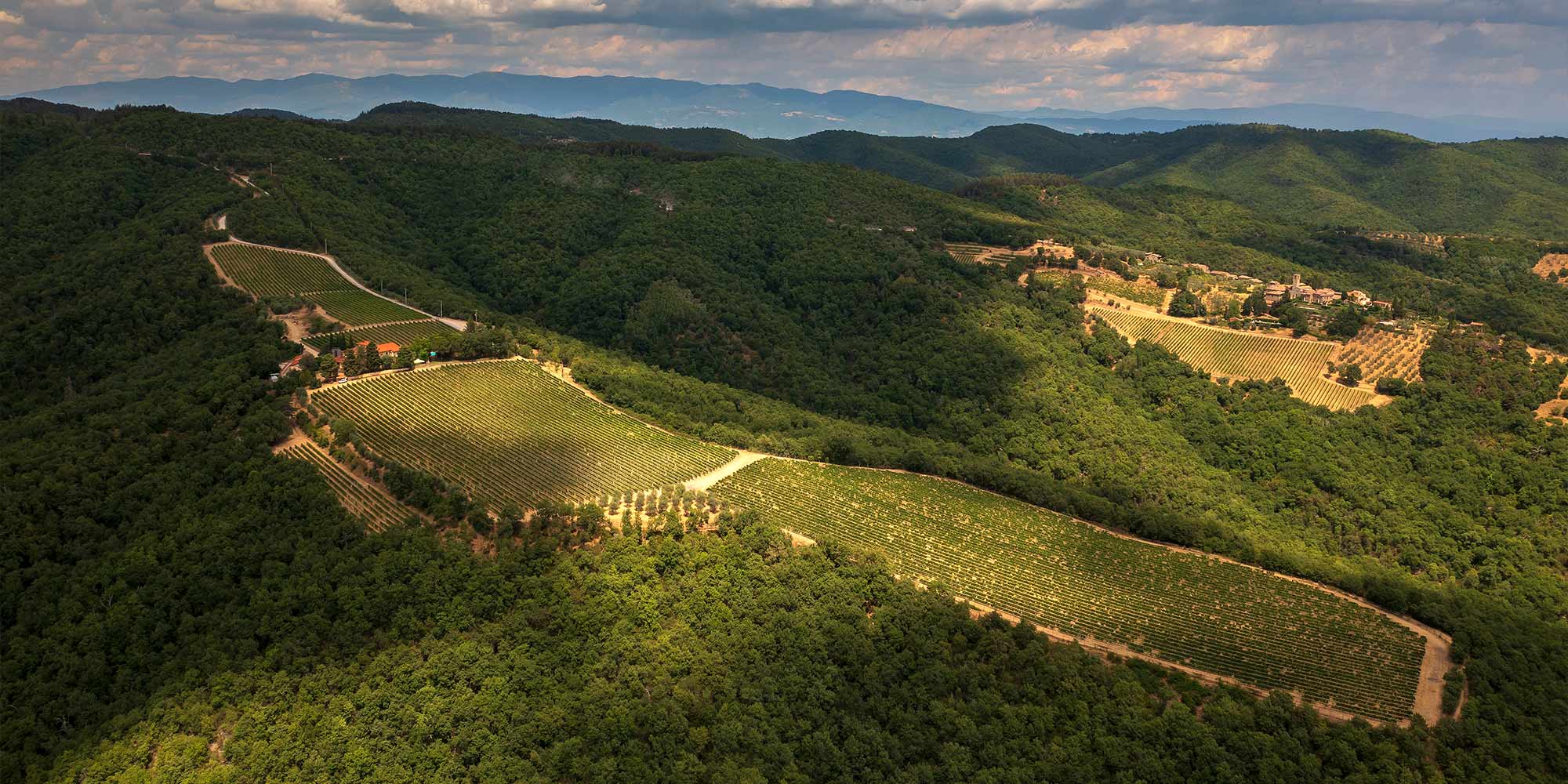 Aerial view of vineyards on hills
